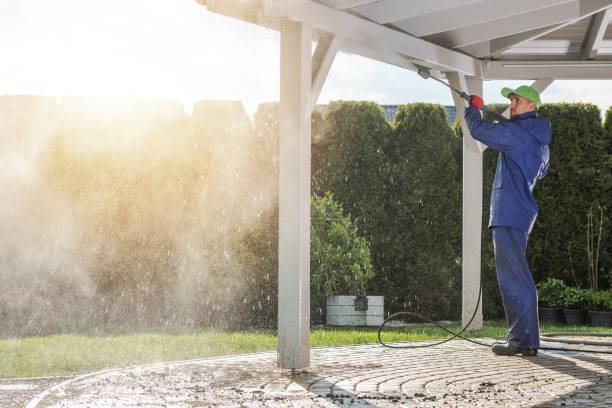 Professional Pressure Washing in Honey Grove, TX